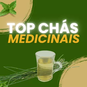Imagem de capa para o Ebook Top Chás Medicinais