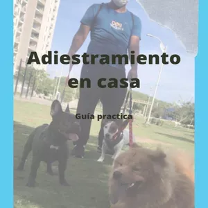 Imagen de portada para Ebook adiestramiento canino guia practica