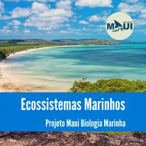 Imagem de capa para o Curso online Ecossistemas Marinhos
