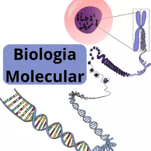 Imagem de capa para o Ebook Aprenda Rápido - Biologia Molecular