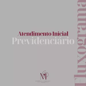 Imagem de capa para o Ebook Atendimento Inicial Previdenciário - Fluxograma