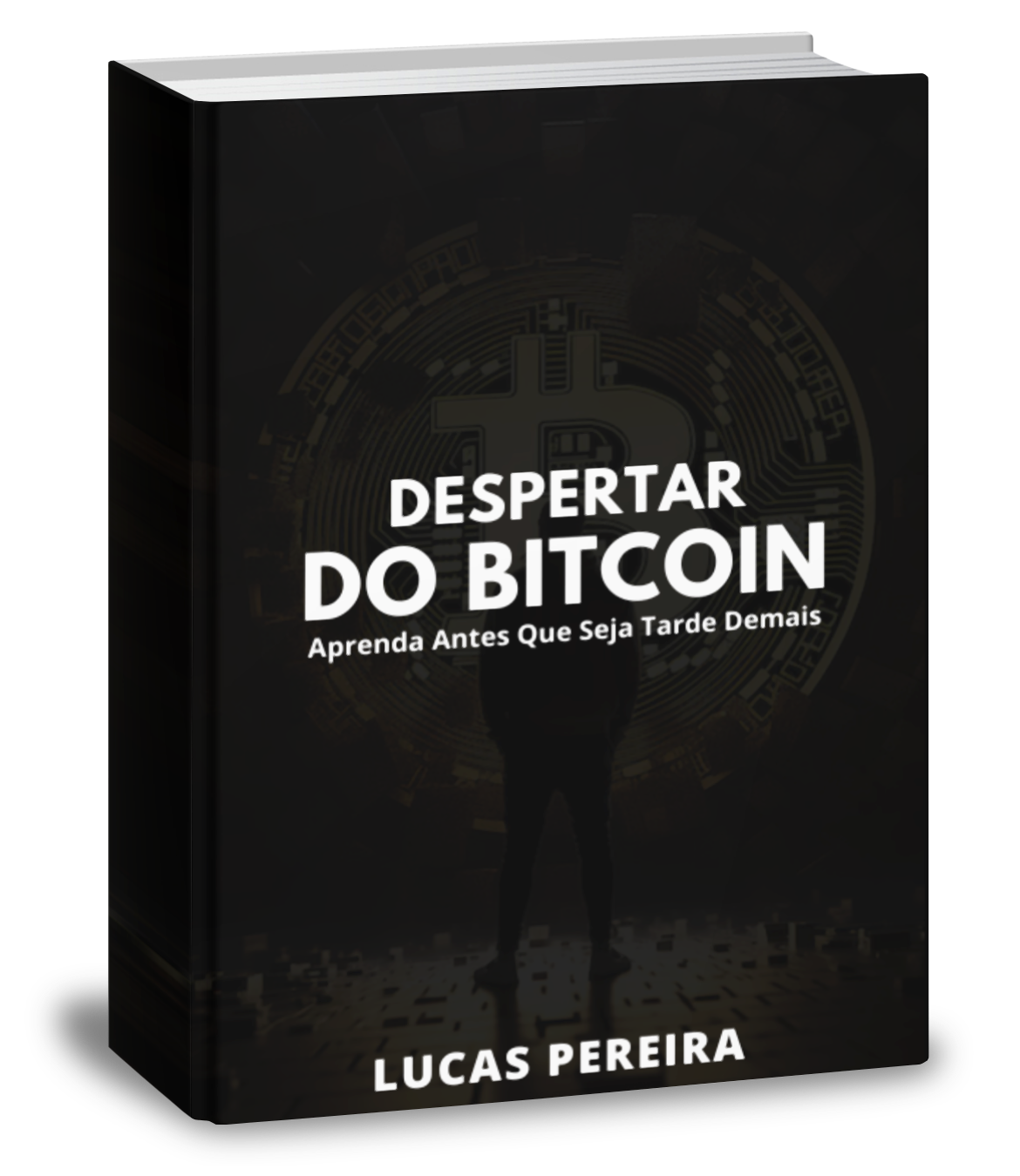 Imagem do curso Despertar do Bitcoin