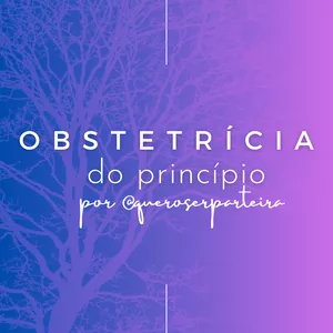 Imagem de capa para o Curso online Obstetrícia do princípio 
