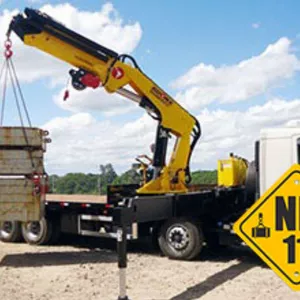 Imagem de capa para o Curso online TREINAMENTO PARA OPERADOR DE GUINDAUTO