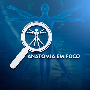 Imagem de capa para o Curso online anatomia em foco