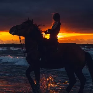 Imagen de portada para Ebook Marión