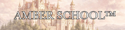 Amber Scholl's School