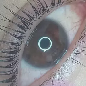 Imagen de portada para Ebook Pestañas y cejas