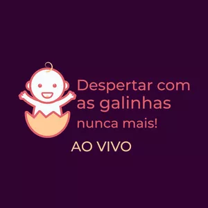 Imagem de capa para o Curso online Despertar com as galinhas nunca mais!