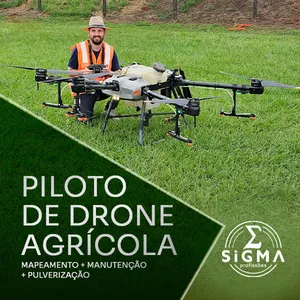 Imagem de capa para o Curso online Piloto de Drone Agrícola