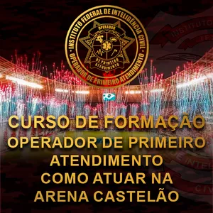 Imagem de capa para o Curso online CURSO DE OPERADOR DE PRIMEIRO ATENDIMENTO COMO ATUAR NA ARENA CASTELÃO