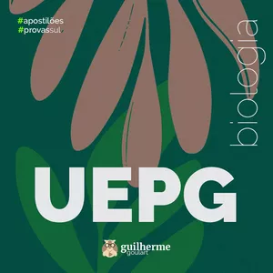 Imagem de capa para o Ebook Apostilão UEPG 2025