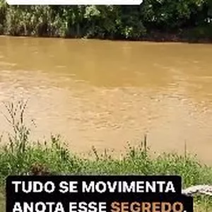 Imagem de capa para o Curso online A frase que vai mudar sua vida 