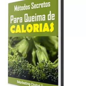 Imagem de capa para o Ebook Métodos secretos para queima de calorias
