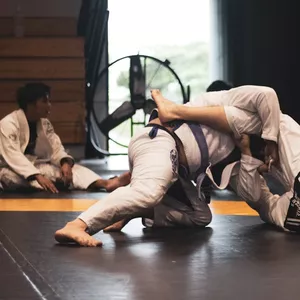 Imagem do curso Aprimore Sua Técnica em Artes Marciais: Domínio e Eficiência