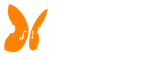 Mildor Violon