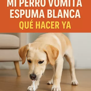 Imagen de portada para Ebook 🟣 QUE HAGO???? Mi Perro Vomita Espuma Blanca — Guía de Emergencia