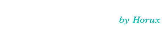 Valor Persona logo