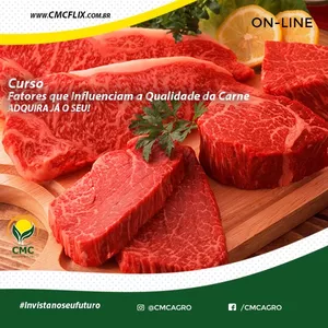 Imagem de capa para o Curso online Fatores que influenciam na qualidade da carne bovina 