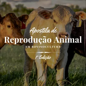 Imagem de capa para o Ebook Apostila de Reprodução Animal em Bovinocultura