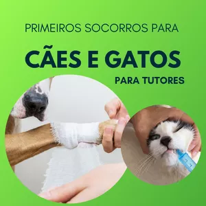 Capa do curso 