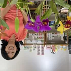 Foto do Criador Orquídeas &amp; Cia