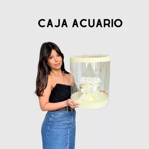 Imagen de portada para Curso online Masterclass caja acuario