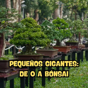 Imagen de portada para Curso online BONSÁI DE 0 A 100