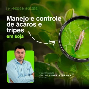 Imagem de capa para o Curso online Manejo e controle de ácaros e tripes em soja