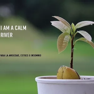Cover image for Online course I AM A CALM RIVER. alternative for stress or anxiety