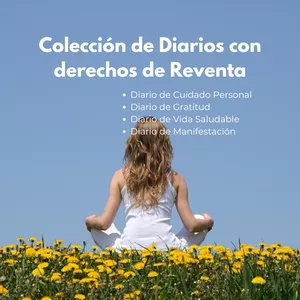 Imagen de portada para Curso online Colección de diarios variados con derechos de reventa PRL y MRR