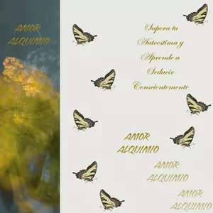 Imagen de portada para Ebook  “Amor Alquímio” : Supera tu Autoestima y Aprende a Seducir Conscientemente