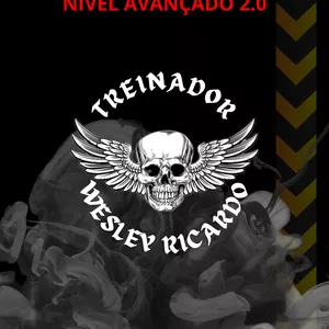 Imagem de capa para o Ebook PLANILHA MASCULINA, NÍVEL AVANÇADO 2.0