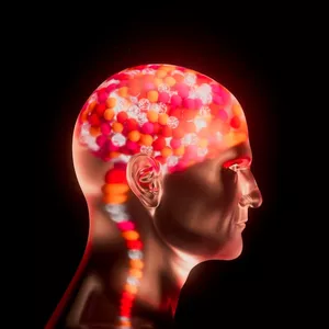 Imagem de capa para o Ebook Memorize anatomia em menos de 30 min/dia com + de 200 flashcards autorais