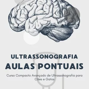 Imagem de capa para o Ebook Ultrassonografia - Aulas Pontuais