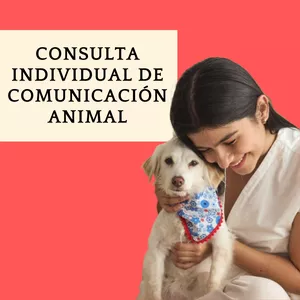 Imagen de portada para Ebook Consulta individual de Comunicación Animal