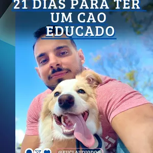 Imagem do curso 21 dias para ter um cão educado