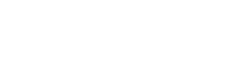 STelligence Group Academy logo