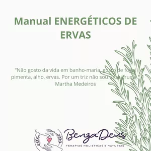 Imagem principal do produto Manual Energético de Ervas