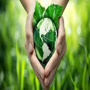 Imagem do curso Educação Ambiental