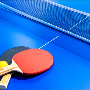 Imagen de portada para Ebook TENIS DE MESA