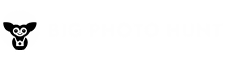 Big Photo Hunt