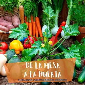 Imagen de portada para Curso online Curso de huertos en casa