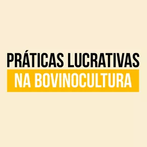 Imagem de capa para o Curso online Práticas Lucrativas na Bovinocultura