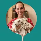 Foto do Criador Fertcat