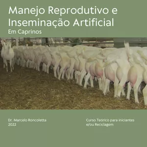 Imagem de capa para o Curso online Manejo Reprodutivo e Inseminação Artificial em Caprinos