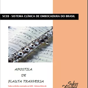 Imagem de capa para o Ebook Apostila de Flauta transversal do sistema clínica de embocadura do Brasil/super-chops Brasil