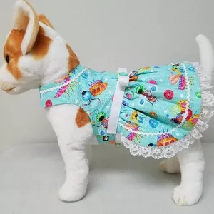 Imagem de capa para o Curso online CURSO MD MODA PET