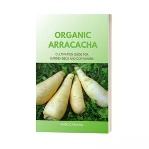 Cover image for Ebook Organic Arracacha