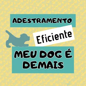 Imagem de capa para o Curso online Adestramento Eficiente:  "Meu Dog é Demais"